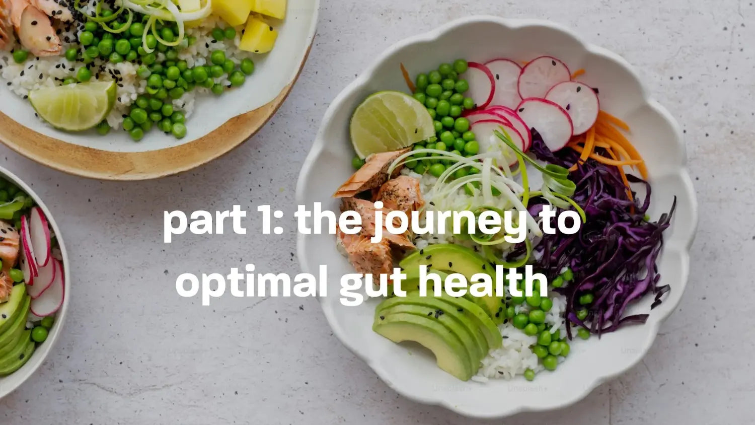 gut health - part 1:  the journey to optimal gut health - an introduction