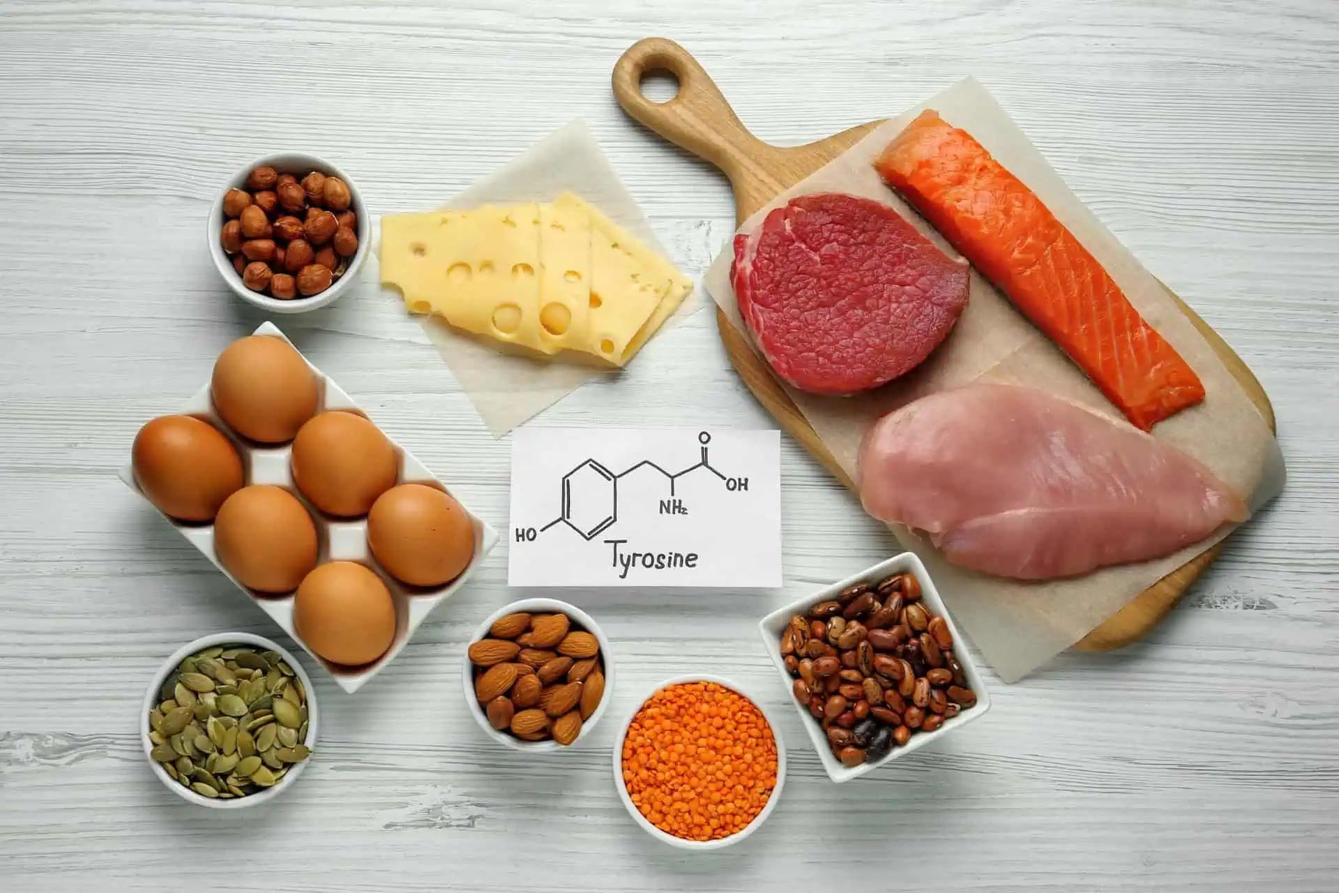 part 2: why do we need protein?