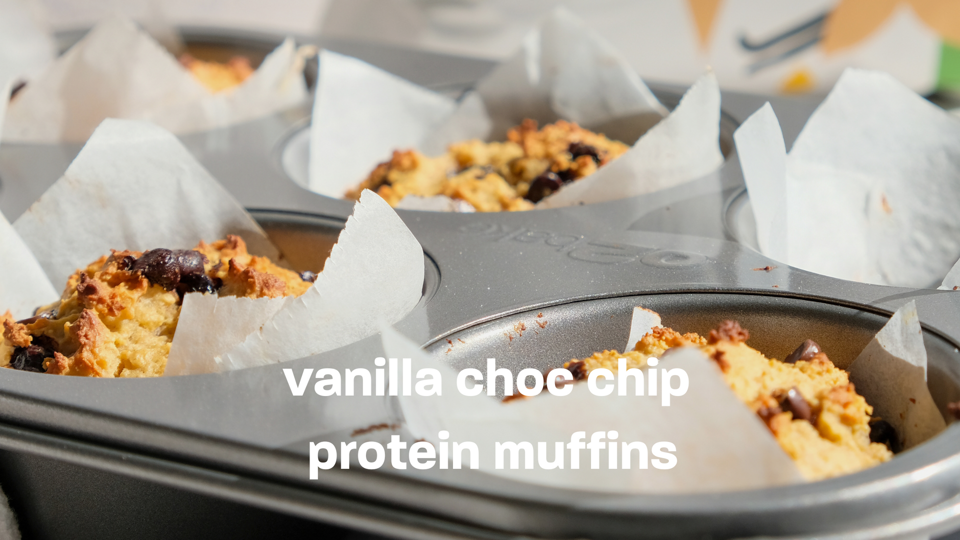 vanilla choc chip protein muffins