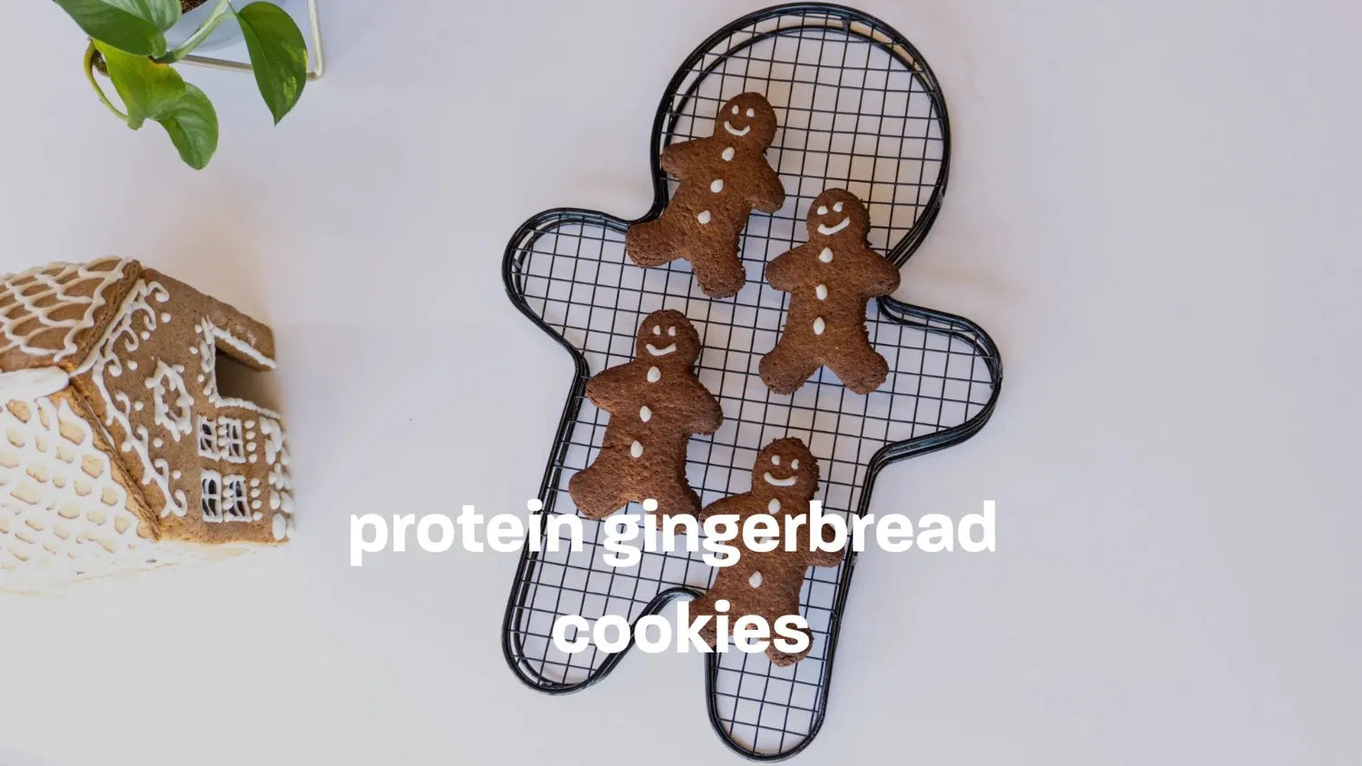 protein gingerbread cookies